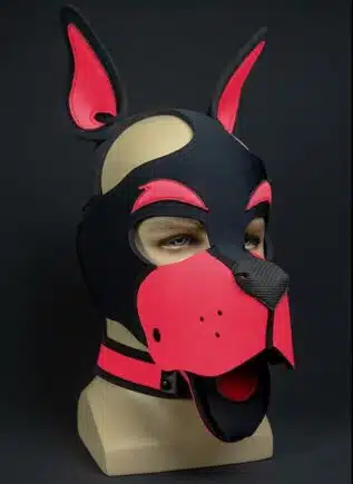 Mr. S Neoprene WOOF! Head Harness Pink