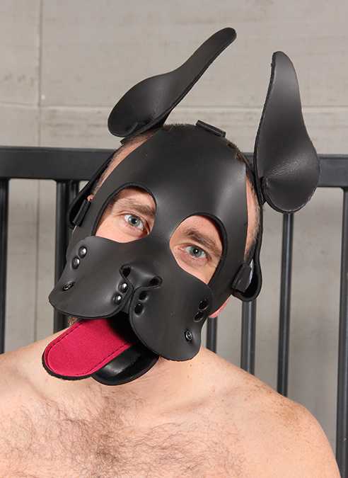 Mr. S Neoprene WOOF! Muzzle with Red Tongue