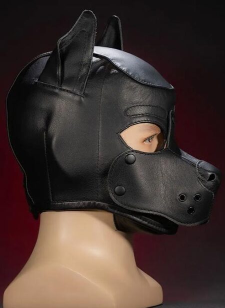 Mr. S Leather K9 Pup Hood Black Medium