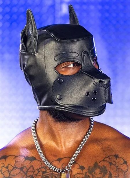 Mr. S Leather K9 Pup Hood Black Medium
