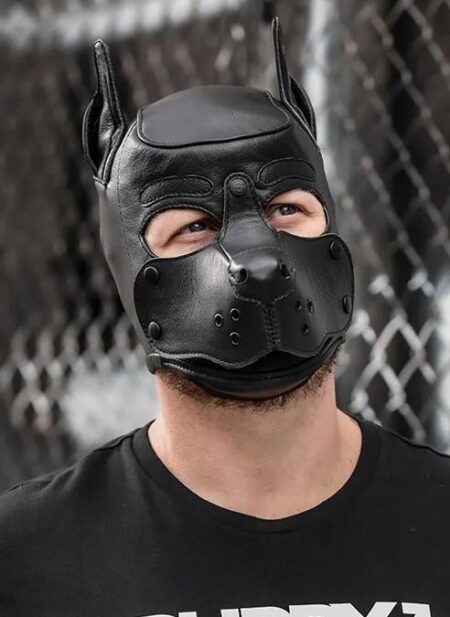 Mr. S Leather K9 Pup Hood Black Medium