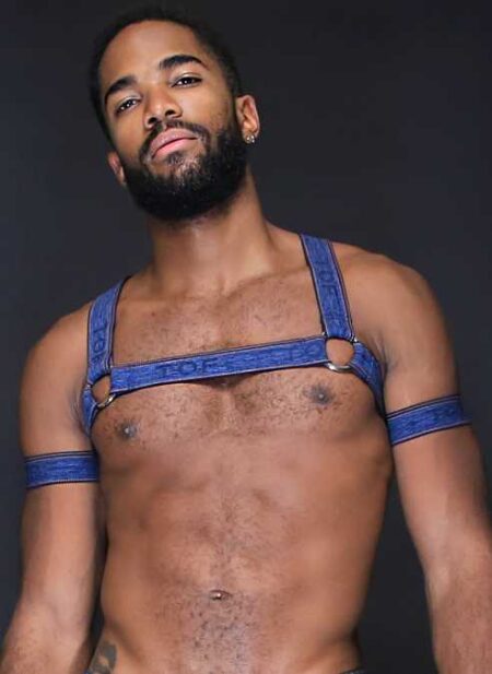 ToF Paris Bicep Bands Denim Large/Extra Large