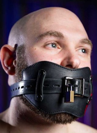 Mr. S Fetters Leather Front Buckle Gag Padded with Locking Buckle Black