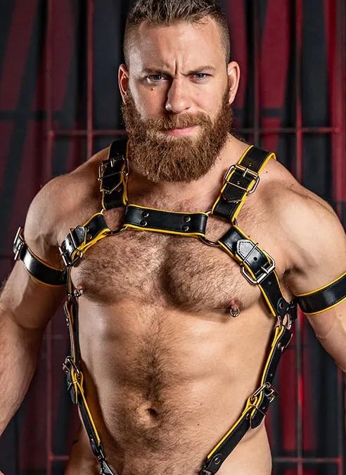 Mr. S Leather Piped Trojan Body Harness Yellow Large / Extra large