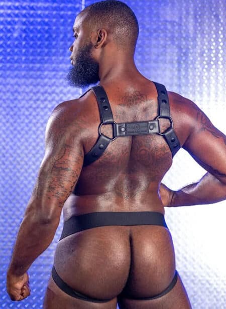 Mr. S Leather Crossbow Body Harness Black Small / Medium
