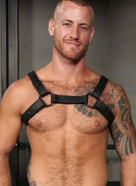 Mr. S Leather Crossbow Chest Harness