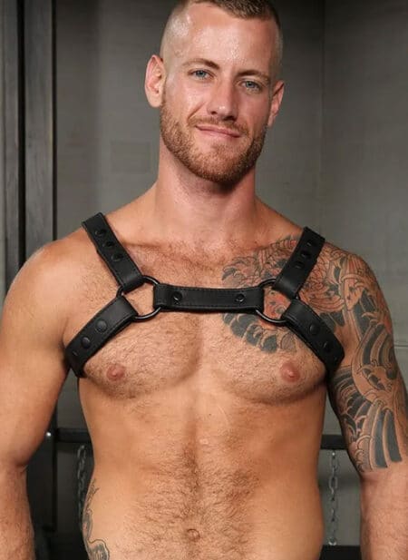 Mr. S Leather Crossbow Chest Harness Black Large / Extra large
