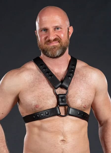 Mr. S Leather English Top Harness All Black Small / Medium