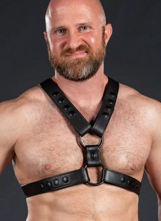 Mr. S Leather English Top Harness All Black Small / Medium