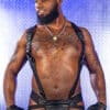 Mr. S Leather Hunter Harness 2.0 Black Extra long