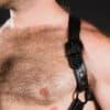 Mr. S Leather Hunter Harness 2.0 Black Extra long