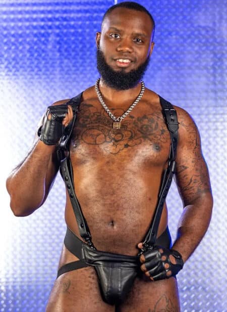 Mr. S Leather Hunter Harness 2.0 Black Extra long