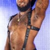 Mr. S Leather Hunter Harness 2.0 Black Extra long