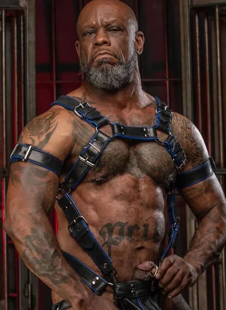 Mr. S Leather Piped Trojan Body Harness Blue Small / Medium