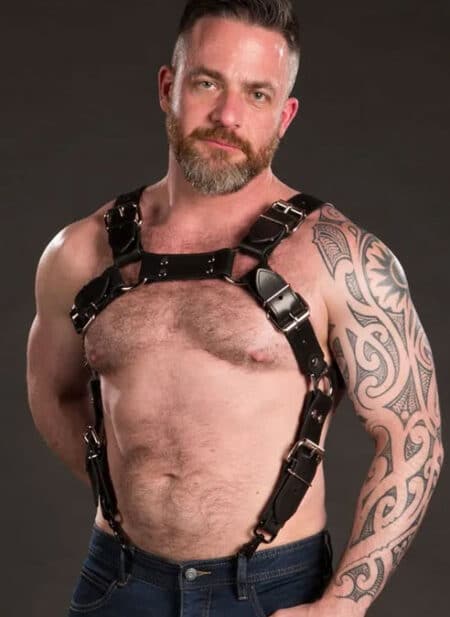 Mr. S Leather Trojan Body Harness Latigo Silver Small / Medium