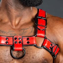 Harnesses