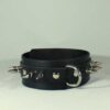 Leather Collar with Spikes Black