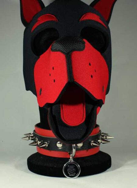 Leather Collar with Spikes Black