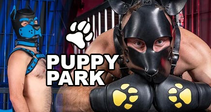 Puppy Park