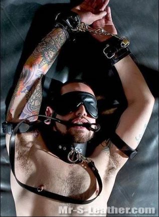 Mr. S Leather All Leather Leash Black
