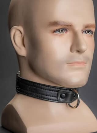 Mr. S Leather Puppy Collar Black