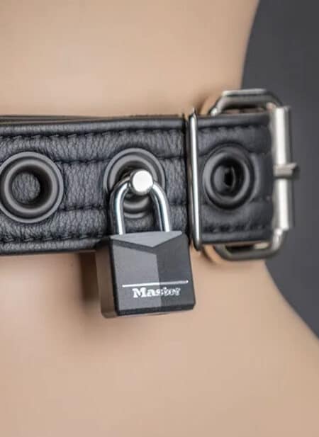 Mr. S Leather Puppy Collar Black