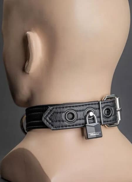Mr. S Leather Puppy Collar Black