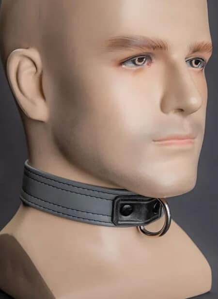 Mr. S Leather Puppy Collar Black