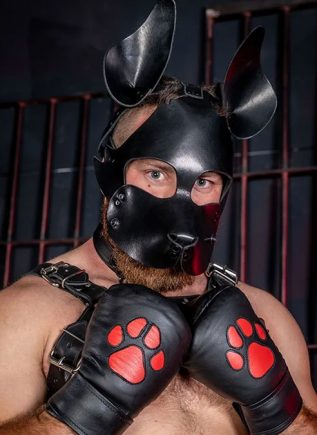 Mr. S Leather WOOF! Muzzle Black One size