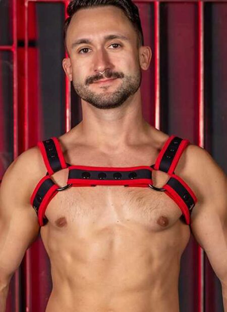 Mr. S Neo Carbon Black Bulldog Harness Red Small / Medium