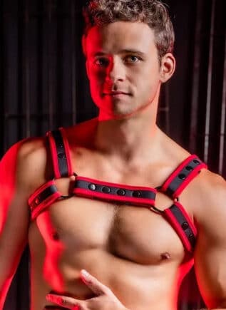 Mr. S Neo Carbon Black Bulldog Harness Red Small / Medium