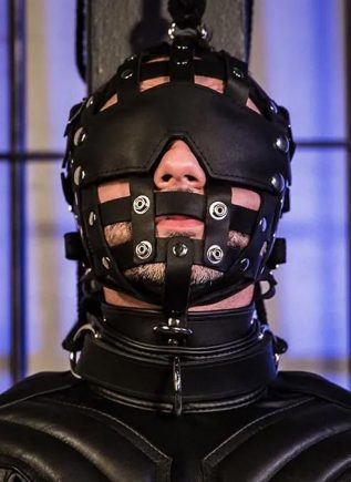 Mr. S Leather Fetters Strap Face Cage Black