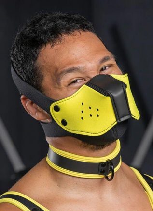 Mr. S Neo Face Muzzle Head Harness