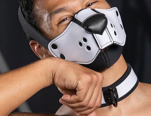 New! Mr. S Neo Puppy Muzzle Head Harness