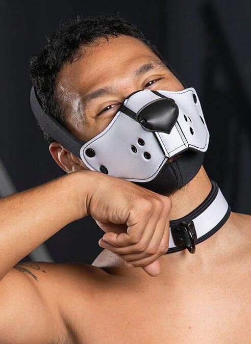 Mr. S Neo Face Muzzle Head Harness