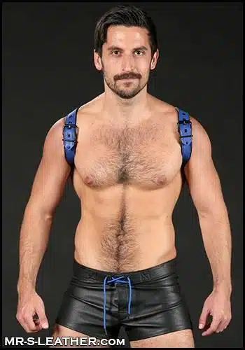 Mr. S Leather Cadet Shoulder Harness Blue Large / Extra large