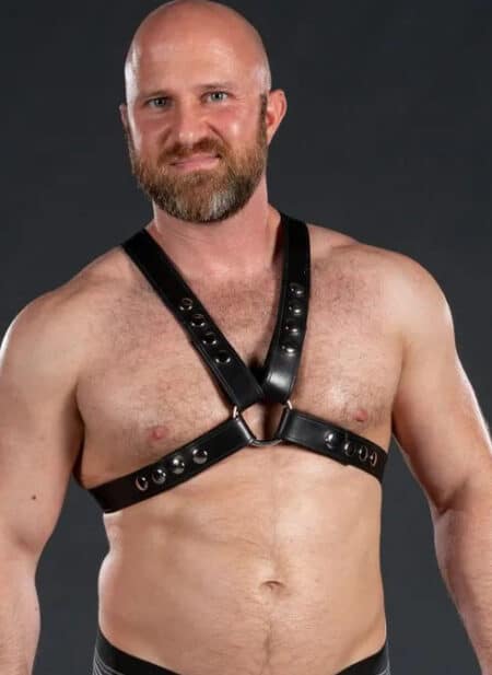 Mr. S Leather Latigo Top Harness Small / Medium