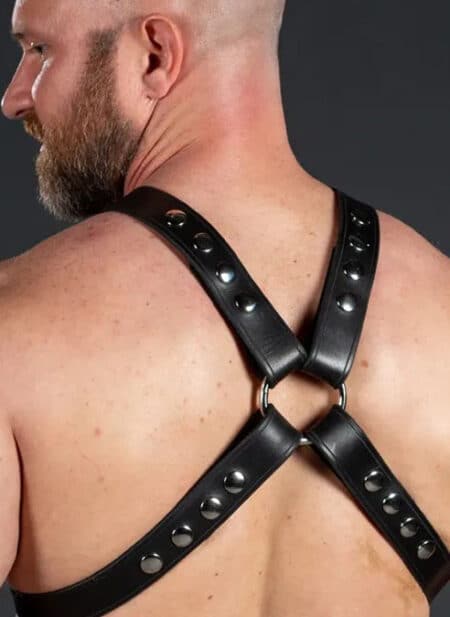 Mr. S Leather Latigo Top Harness Small / Medium