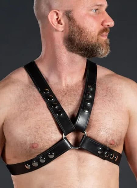 Mr. S Leather Latigo Top Harness Small / Medium