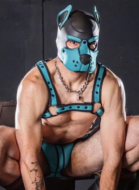 Mr. S Neo K9 Hood Aqua Extra large