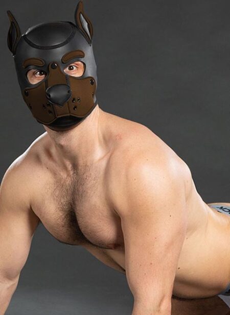 Mr. S Neo K9 Hood Brown Small
