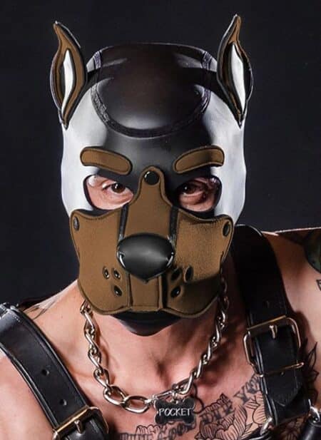 Mr. S Neo K9 Hood Brown Small