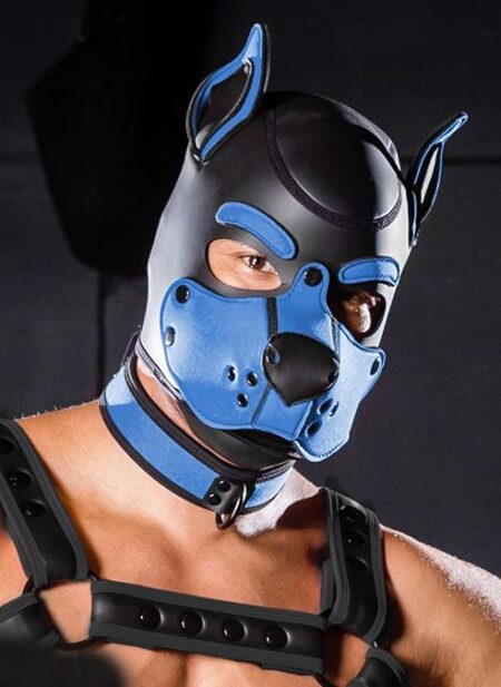 Mr. S Neo K9 Hood Cobalt Blue Extra large