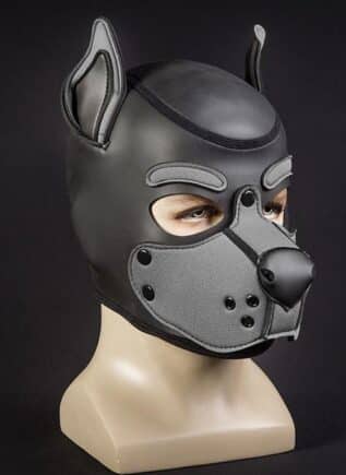 Mr. S Neo K9 Hood Grey Medium