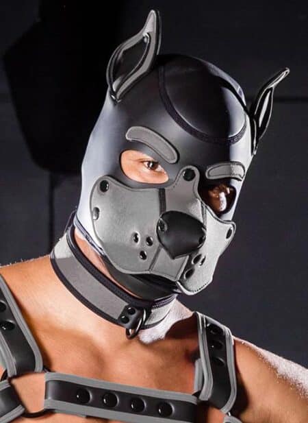 Mr. S Neo K9 Hood Grey Medium