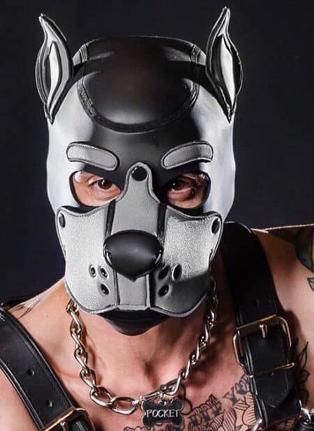 Mr. S Neo K9 Hood Grey Medium