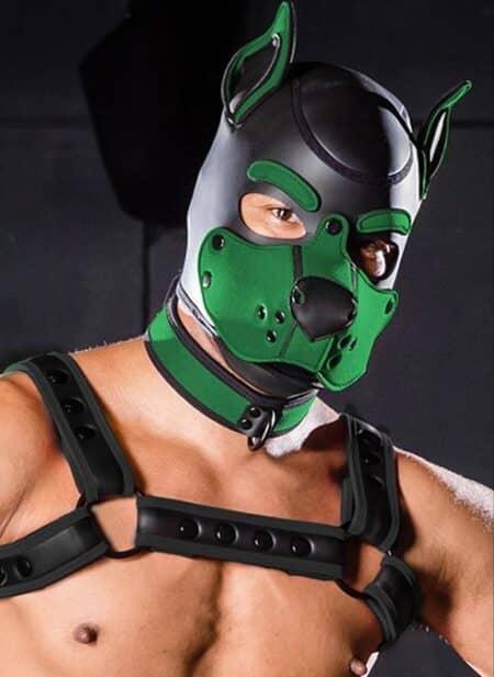 Mr. S Neo K9 Hood Hunter Small