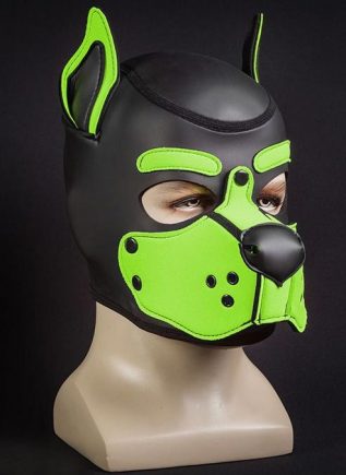 Mr. S Neo K9 Hood Lime Extra large