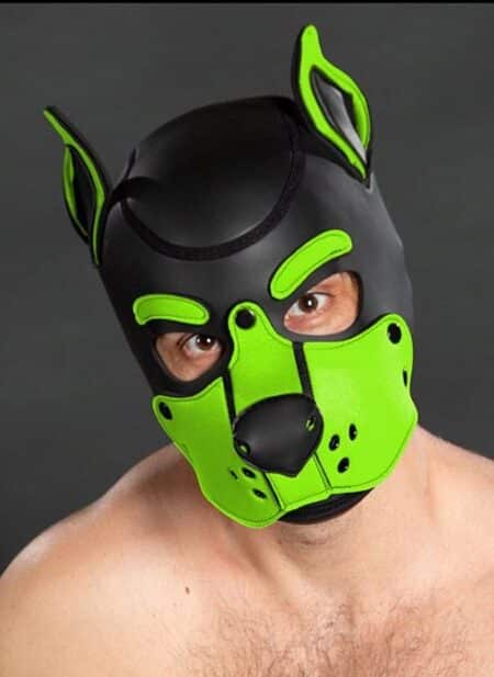 Mr. S Neo K9 Hood Lime Extra large