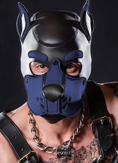 Mr. S Neo K9 Hood Navy Small